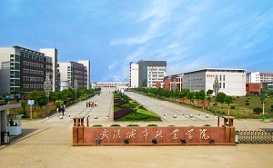 武汉城市职业学院五年